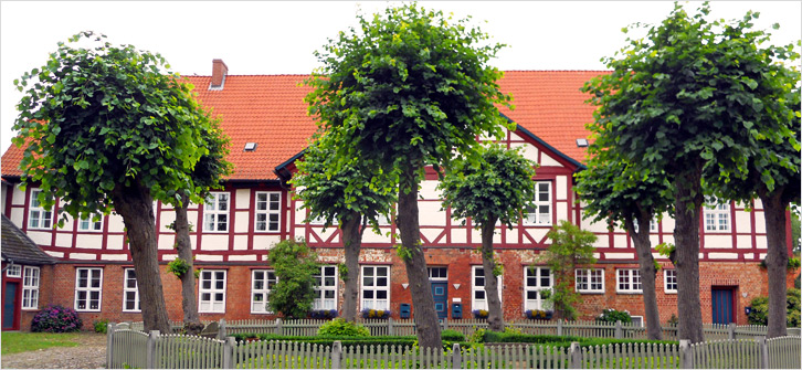 Kopfbild